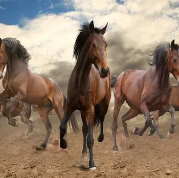 Fototapeta Solution Media 3D tapeta - Cválající kůň MU996 1 - Voděodolné plátno - Textilní tapeta omyvatelná - 250g/m2