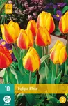 Vilmorin Tulipán Flair 10 cibulí