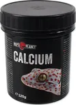 Repti Planet Calcium 125 g