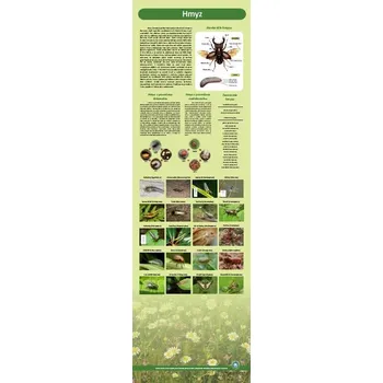 Naučná tabule hmyz