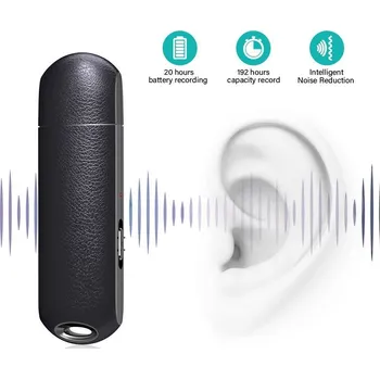 USB flash disk Flash disk s diktafonem / diktafon