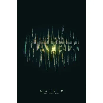Plakát Plakát, Obraz - Matrix - Chyba v Matrixu