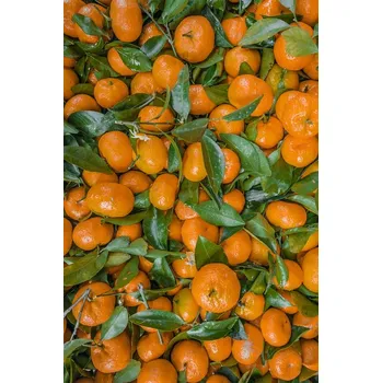 Osvěžovač vzduchu . Mandarinková silice Množství: 35 ml