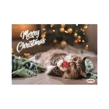 Miska pro psa Record vánoční plastová podložka pod misky 42 x 30 cm pro kočky, kočka v zelené dece