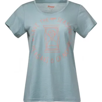 Dámské tričko Bergans Graphic Wool W Tee Barva: Šedá, Velikost: S