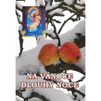 Na Vánoce dlouhý noce - Jaroslav Novák (2014, pevná)