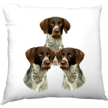 Polštář Polštář saténový s potiskem Český fousek