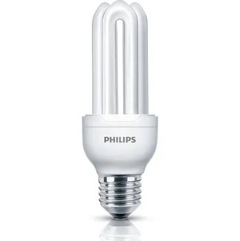 Žárovka Philips Genie 14W E27