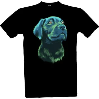 Pánské tričko Tričko s potiskem Labrador Snílek pánské