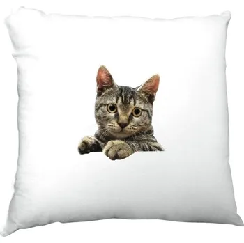 Dekorativní polštářek Polštář saténový s potiskem Polštářek s kočičkou