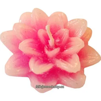 Svíčka Svíčka ve tvaru lotosového kvítku světle růžová