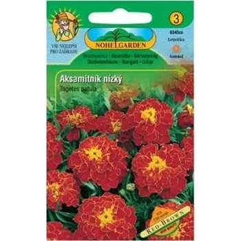 Zahrada Nohel Garden Aksamitník nízký - Tagetes patula