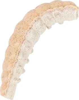 Umělá nástraha Berkley Powerbait Honey Worm 2,5 cm Orange Pearl