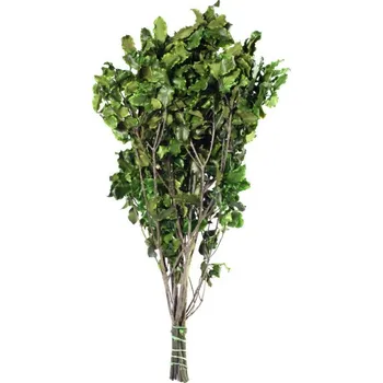 umělá květina Stabilizovaná rostlina Pitosporum Tenuifolium Green 30-40 cm