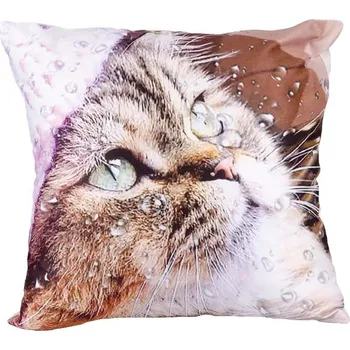 Dekorativní polštářek Povlak KOCOUR Mourek 45x45 cm