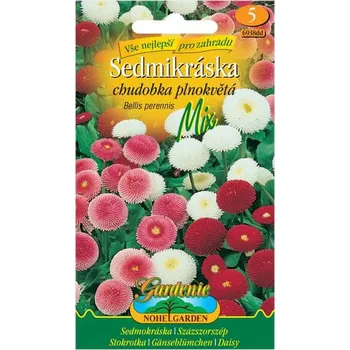 Semeno Nohel Garden Sedmikráska chudobka plnokvětá směs 5 g