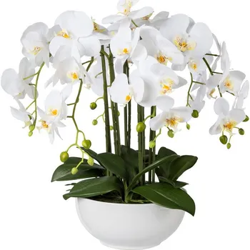 umělá květina Umělá Orchidej bílá v květináči, 54cm