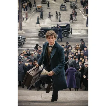 Plakát Plakát, Obraz - Fantastická zvířata - In rush