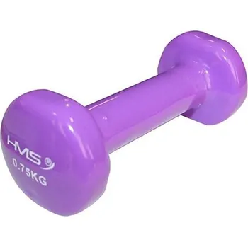 HMS Litinová činka pokrytá vinylem fialová 750 g