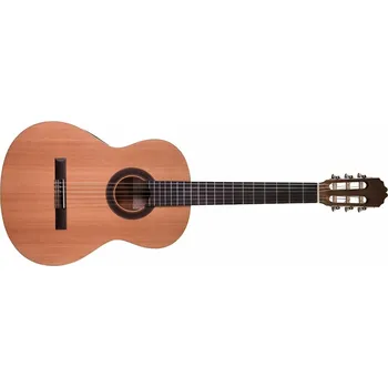 Klasická kytara Prodipe Guitars STUDENT 3/4