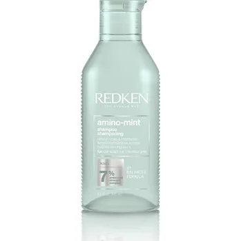 Šampon Redken Amino Mint Shampoo