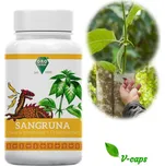 Oro Verde SangrUňa (Uňa de Gato & Sangre de Drago) VEGA kapsle 100 x 350 mg