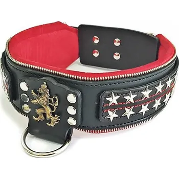 Obojek pro psa Obojek pro psa Bestia Collars General Velikost: M