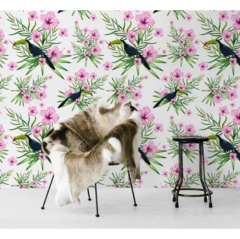 Tapeta Coloray Fototapeta Tukanový odpočinek Samolepící Fototapeta Vliesová 250 x 250 cm coloraydecor-f-ss-423052084