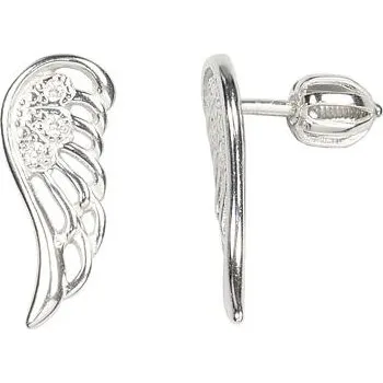 Náušnice Stříbrné náušnice křídla