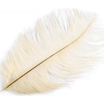 Karnevalový doplněk StoklasaPštrosí peří 25 cm - bílé krémové