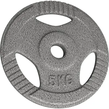 Physionics Litinové závaží, 5 kg, 31 mm