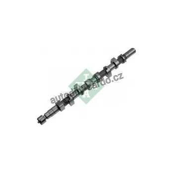 Rozvod motoru Vačkový hřídel INA (IN 428007410)