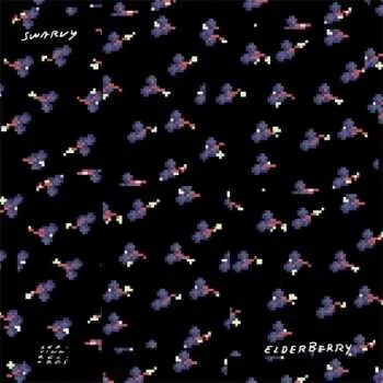 Zahraniční hudba LP Swarvy: Elderberry 2016