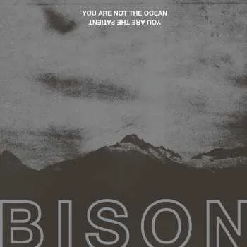 Zahraniční hudba CD Bison B.C.: You Are Not The Ocean You Are The Patient 2020