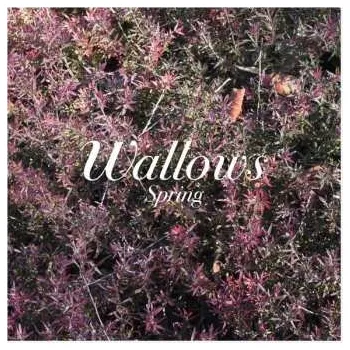 Zahraniční hudba LP Wallows: Spring CLR 2018 Green & Pink Coloured Vinyl