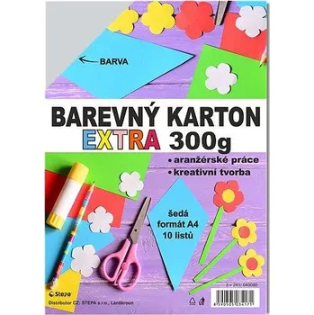 Karton Barevný karton EXTRA 300g A4 šedý [10 listů],rychlé dodání