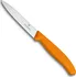Kuchyňský nůž Victorinox 6.7706.L119 10 cm