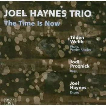 Zahraniční hudba CD Joel Haynes Trio: The Time Is Now 2014