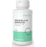 Nástroje zdraví Boswellia serrata 90 kapslí