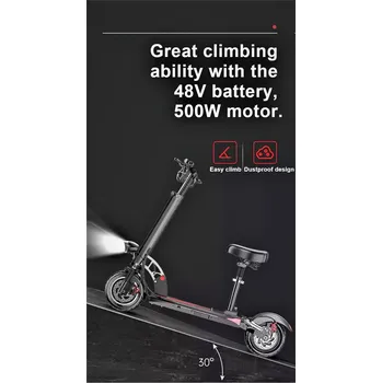 Motorová koloběžka Shenzen Legua Industrial Co.Ltd elektrokoloběžka R8 48v/500w černá