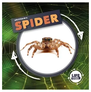 Příroda Life Cycle Of A Spider - Holmes, Kirsty