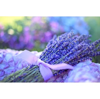 * Levandule luxus nová - Parfém množství: 10 ml