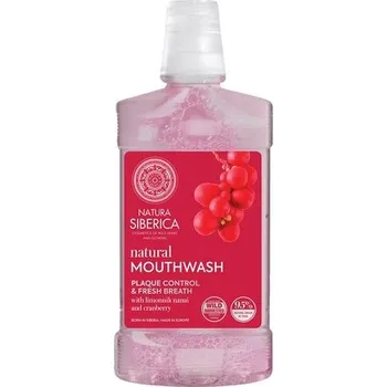 Ústní voda Natura Siberica Plaque Control & Fresh Breath ústní voda 520 ml