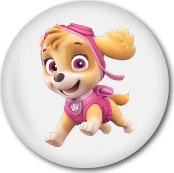 Placka Tlapková patrola - Skye