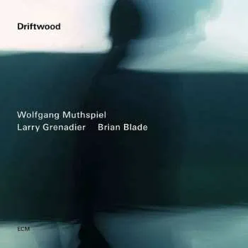Zahraniční hudba CD Brian Blade: Driftwood 2014