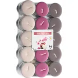 Bispol Aura čajová vonná svíčka 30 ks