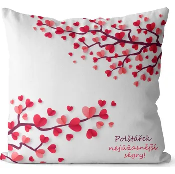 Dekorativní polštářek Polštář Nejúžasnější ségry (Velikost: 40 x 40 cm)