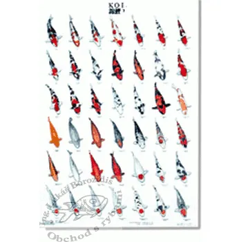 Plakát Plakát č.3 laminovaný