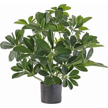 umělá květina Umělá rostlina Schefflera keřík v květináči, 50cm