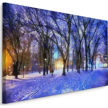 Plátno Zima V Parku Varianta: 40x30